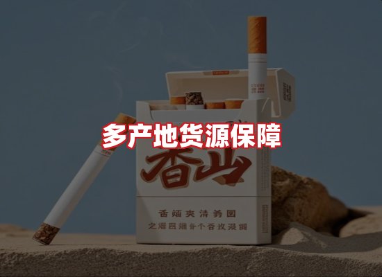 专业团队